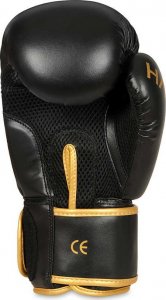 DBX BUSHIDO Rękawice bokserskie sparingowe "HAWK" B-2v17 Active Clima 10oz 2621 10