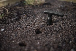 Bradas Ogrodniczy pikownik DE LUXE 2