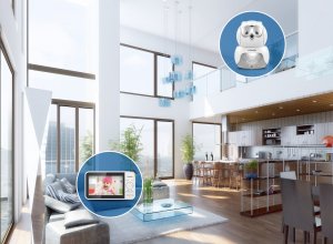 Niania Vtech BM5550 7