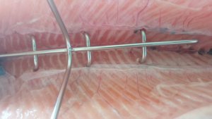 Grillpal Hak Haki Do Wędzenia DUŻYCH RYB Udźwig 9 kg 3 sztuki 4