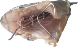 Grillpal Hak Haki Do Wędzenia DUŻYCH RYB Udźwig 9 kg 3 sztuki 5