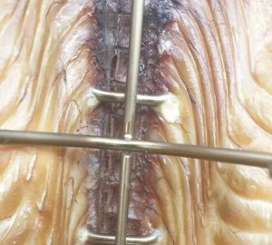 Grillpal Hak Haki Do Wędzenia DUŻYCH RYB Udźwig 9 kg 3 sztuki 8