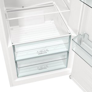 Lodówka Gorenje R619FEW5 9