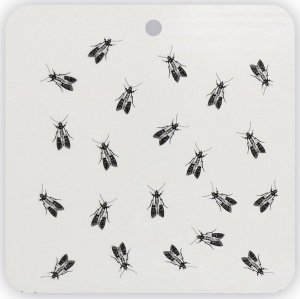 NO PEST Pułapka na Mole Spożywcze 2 szt Lep Środek Sposób Pułapka Lepowa na Mole Spożywcze Kuchenne Lep przeciw Molom 3