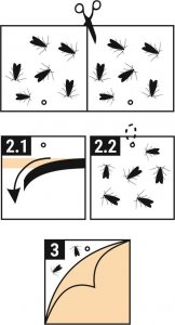 NO PEST Pułapka na Mole Spożywcze 2 szt Lep Środek Sposób Pułapka Lepowa na Mole Spożywcze Kuchenne Lep przeciw Molom 7