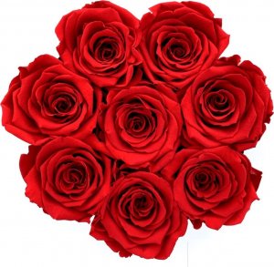 Infinity Rose Flower Box czerwone wieczne róże pachną 2