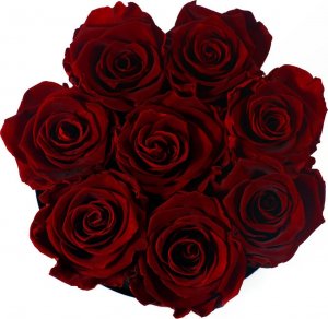 Infinity Rose Flower Box czerwone naturalne wieczne róże zaręczyny 2