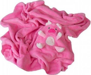 Multitex Kocyk 85 x 100 Dziecięcy Mikrofibra Willy 04 2