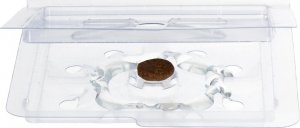 NO PEST Lep na Rybiki i Srebrzyki 10 szt Pułapka Lepowa Środek Sposób Pułapka na Rybiki Cukrowe Srebrzyki 3