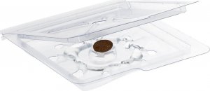 NO PEST Lep na Rybiki i Srebrzyki 10 szt Pułapka Lepowa Środek Sposób Pułapka na Rybiki Cukrowe Srebrzyki 4