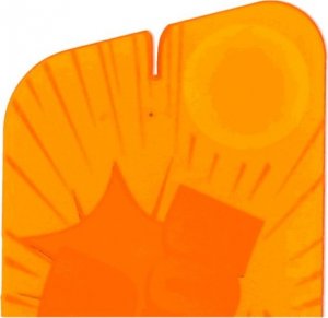 NO PEST Karta do Usuwania Kleszczy Przyrząd Pęseta Sposób Urządzenie na Kleszcze Narzędzie do Bezpiecznego Wyciągania Kleszcza 7