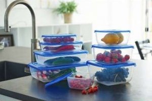 Plast Team Pojemnik do lodówki zamrażarki POLAR BOX 0,46L 3