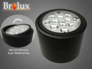 Lampa sufitowa Mdeco Downlight z regulacją Ryman LED 12W metalowy czarny 1