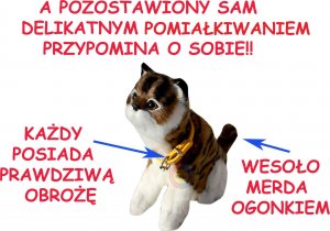 KOTEK INTERAKTYWNY Z WBUDOWANĄ FOTOKOMÓRKĄ 4