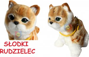 KOTEK INTERAKTYWNY Z WBUDOWANĄ FOTOKOMÓRKĄ 5