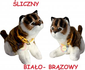 KOTEK INTERAKTYWNY Z WBUDOWANĄ FOTOKOMÓRKĄ 6