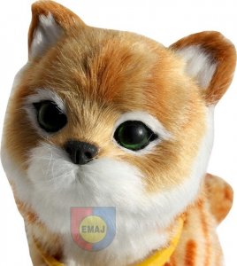 KOTEK INTERAKTYWNY Z WBUDOWANĄ FOTOKOMÓRKĄ 8