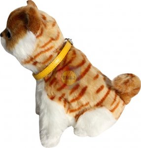 KOTEK INTERAKTYWNY Z WBUDOWANĄ FOTOKOMÓRKĄ 9