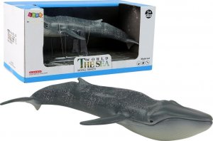 Figurka LeanToys Duża Figurka Kolekcjonerska Płetwal Błękitny World The Sea 1