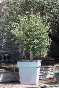 Eda Plastiques Doniczka kwadratowa EDA Tuscany - 50 cm - 87 L - Betonowa szarosc 3