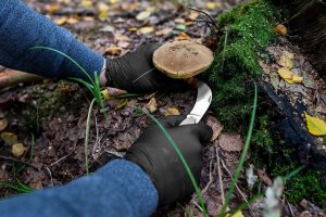 Neo Rękawiczki nitrylowe (Rękawiczki nitrylowe, czarne, 100 sztuk, rozmiar XL) 13