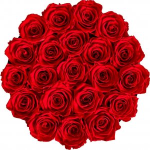 Infinity Rose Pudełko oryginalne wieczne róże box XXL prezent 2