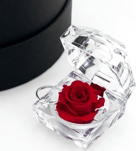 Infinity Rose Wieczna róża pudełko na pierścionek zaręczynowy 1