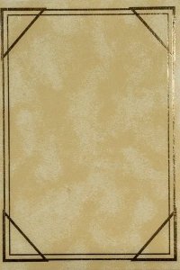 FANDY Fotoalbum kieszeniowy szyty Vinyl 4