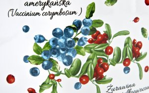 Emalia Olkusz Garnek emaliowany 4,5L Borówka/Żurawina 6