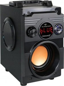 Głośnik Feegar ShowJet z mikrofonem czarny (5904610880234) 2