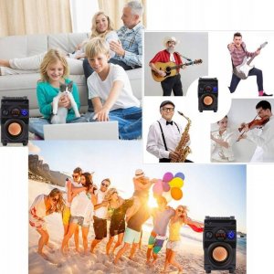 Głośnik Feegar ShowJet z mikrofonem czarny (5904610880234) 6