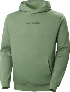 Helly Hansen Core Graphic Sweat Hoodie 408 Jade 2.0 53924_408-XL 1