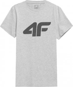 4f T-shirt męski 4F Koszulka z nadrukiem SZARA S 1