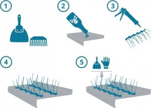 Antyptak Kolce na Gołębie Ptaki ANTYPTAK 6 Kolce Sposób Odstraszacz na Ptaki Gołębie Jaskółki Wróble Sikorki Szpaki 7