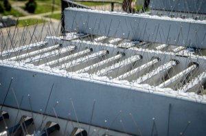 Antyptak Kolce na Gołębie Ptaki ANTYPTAK 3 Kolce Sposób Odstraszacz na Ptaki Gołębie Jaskółki Wróble Sikorki Szpaki 4