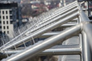AVIK Kolce na Gołębie R200 Kolce Przeciw Gołębiom Ptakom Kolce Odstraszacz na Ptaki Gołębie Jaskółki Mewy Dzięcioły 8