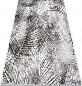 Dywany Łuszczów Dywan MATEO 8035/644 Nowoczesny liście palmy - strukturalny szary, 280x370 cm 1