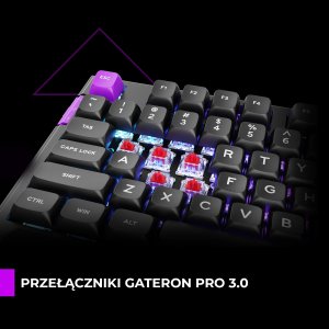 Klawiatura PREYON PREYON SILENT CLAW TKL BROWN + Podkładka pod nadgarstki Falcon Soft TKL 12