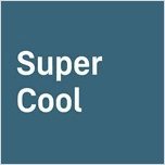 Lodówka Liebherr ECBN6256-23 13