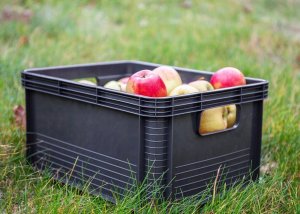 Keeeper KEEEPER - Pojemnik transportowy Robusto - 20 L - grafitowy 2