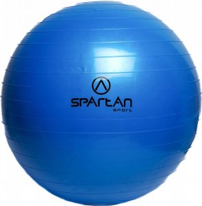 Spartan Piłka gimnastyczna 55 cm 2