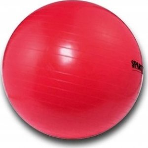 Spartan Piłka gimnastyczna 75 cm 3