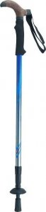 KIJ TREKKINGOWY DO CHODZENIA NORDIC WALKING 3-SEKCYJNY SREBRNO-NIEBIESKI 2