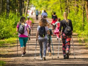 Verk KIJKI NORDIC WALKING TREKINGOWE KIJ KIJE KORKOWA 12