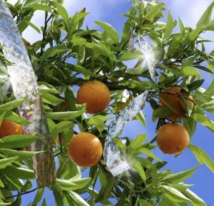 Repest Odstraszacz ptaków- taśma 45m (21040) 3