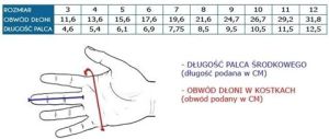 Reusch Rekawice Re:pulse Pro A2 Ortho - Tec 9,5 1