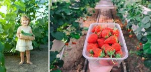 Malatec Folia 400 cm x 300 cm x 200 cm 2