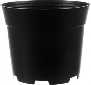 Gardlov Doniczka produkcyjna - zestaw 500szt 2