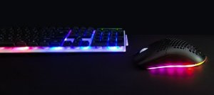 Mysz Dunmoon Dunmoon  (5904665711057) 4