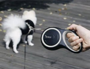 Purlov Smycz automatyczna 5m (19788) 10